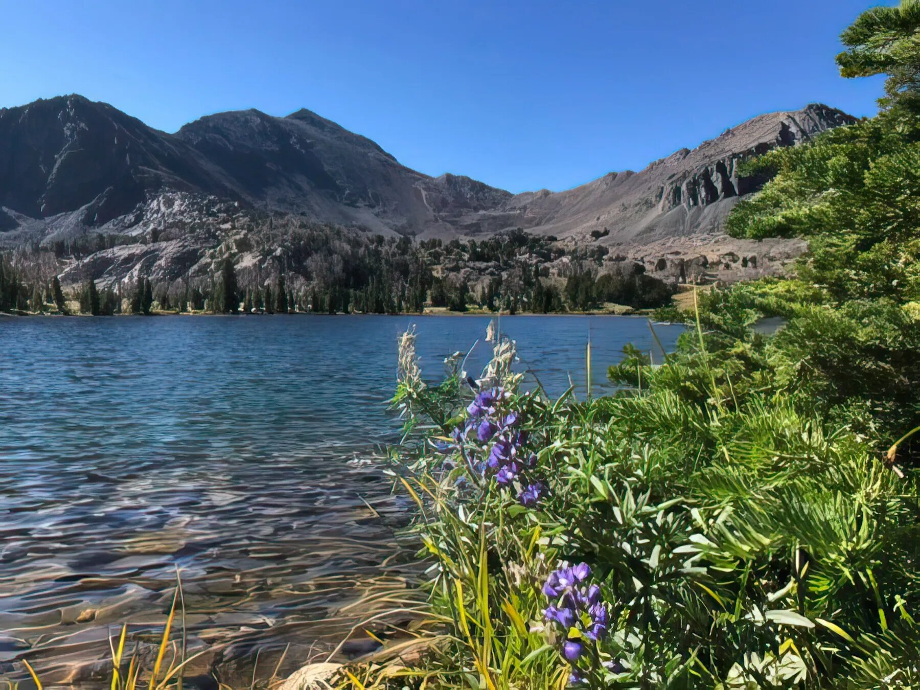 Copper-Basin-Discover-Lost-River-Valley-Idaho