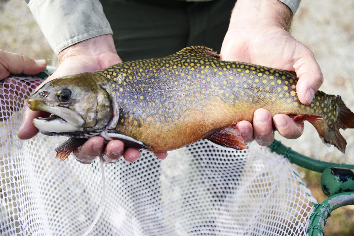 Mackay Fish Hatchery