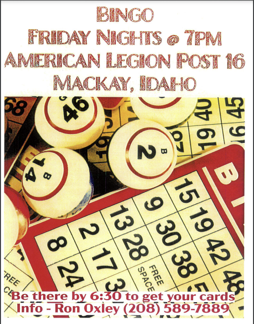 bingo poster every friday night at american legion post